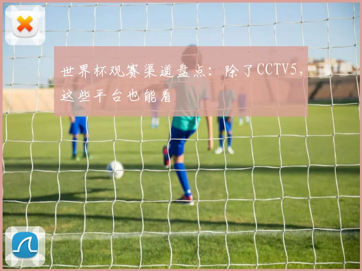 世界杯观赛渠道盘点：除了CCTV5，这些平台也能看